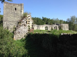 3-Seyssel Burg Sejeur 2015-k